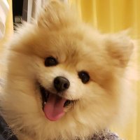 愛 (@orisa2020) 's Twitter Profile