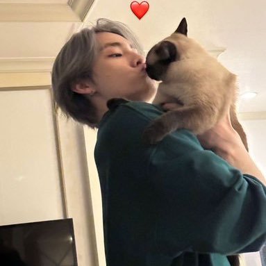 minmintmvnic's profile picture. #肖俊 #XIAOJUN 🦖❤️ #刘杨杨 #YANGYANG 🐑 #TENLEE 🐈‍⬛ {#RENJUN #런쥔} #헨드리 #HENDERY 🦄 xiaohenyang enthusiast