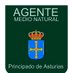 Agentes del Medio Natural Profile picture