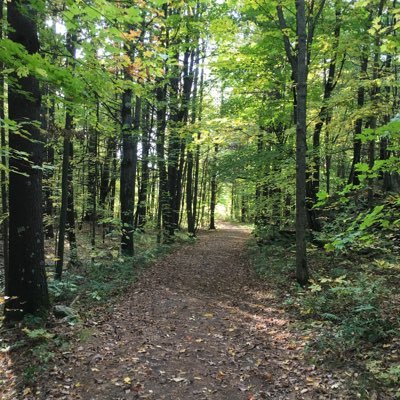 LarryL58335022's profile picture. 