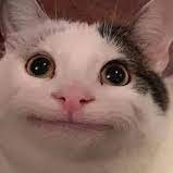 breh40615458's profile picture. just a thirty year old mophead that likes to look at lovey doveys