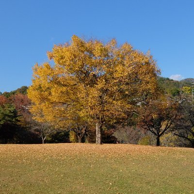 ライブ、カラオケ好き。ときどき観劇、サッカー観戦。ピアノ練習中。
好きなアーティスト：あいみょん、かりゆし58、谷山浩子、友部正人、中島みゆき、中村 中、平原綾香、松任谷由実、森山直太朗、矢野顕子、など
休日のウォーキング＆ハイキング@naratsuru