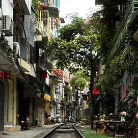 StephanieNouws's profile picture. 