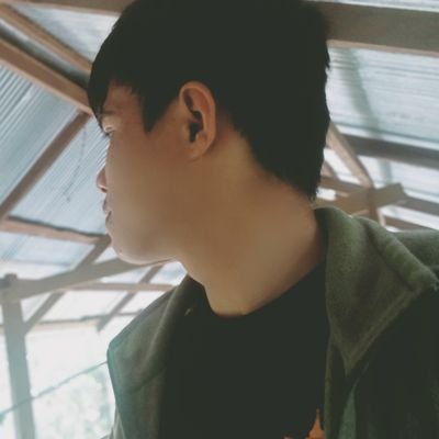 Treepop83774100's profile image