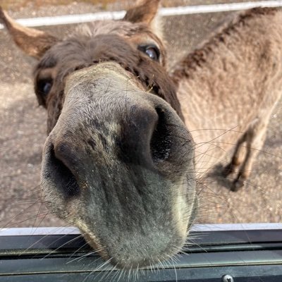 1EmmyLouWho's profile picture. 