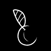 plum_cider π (@plum_cider) 's Twitter Profile
