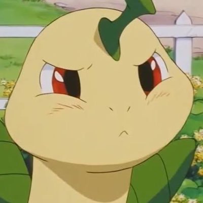 Bailey_VGC Profile Picture