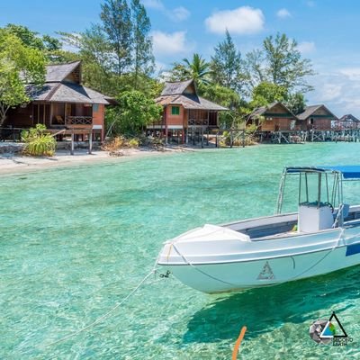 jiowenbo's profile picture. btc