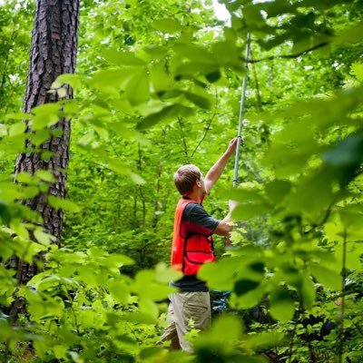 College of Natural Resources at @NCState. Educating leaders to create solutions for a sustainable world at the intersection of the built & natural environment.