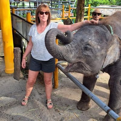 les4han's profile picture. Out of office 😊