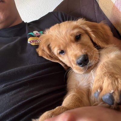 MBHE99's profile picture. 