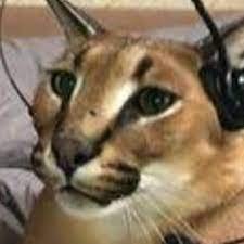 rainzksj79's profile picture. 🤙🏼🤙🏼