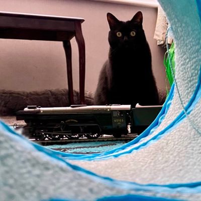 bigbluewinky's profile picture. No