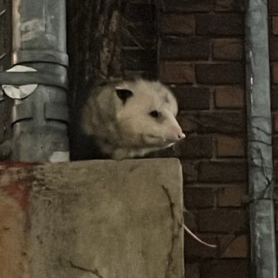 DuranTashi's profile picture. uhhhhhh