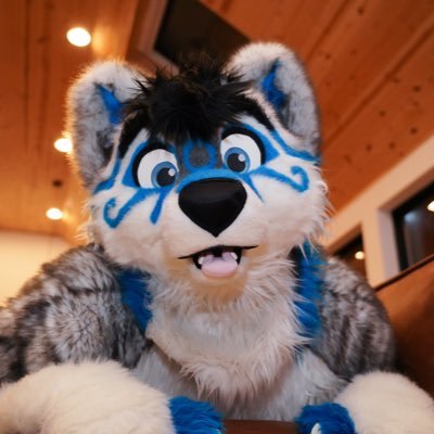 Boz_Husky Profile Picture