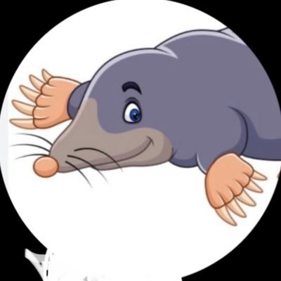 bretshmooz's profile picture. 