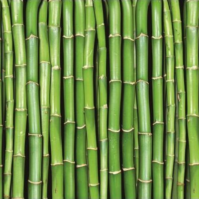 Bambuk367's profile picture. 