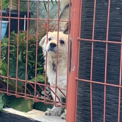 vvvwow89's profile picture. 