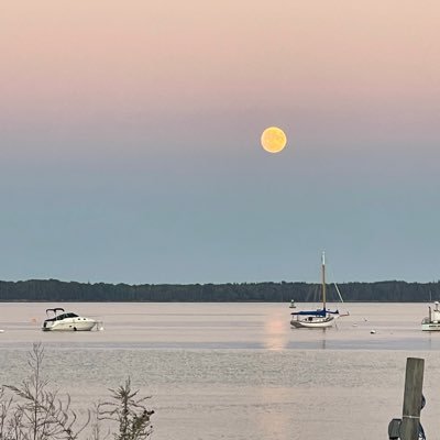 BrotherBrucie's profile picture. Just for fun and games