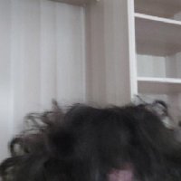 sam evvy (@cardboardspeccy) 's Twitter Profile Photo