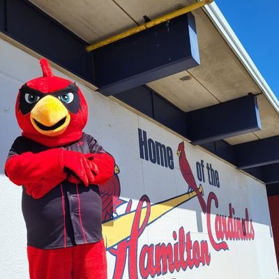 The Official Mascot For the  @HamCardinalsIBL

  Request me at your next event by completing the community request form on our website !