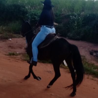 Bebeca_Justin's profile picture. Toda espera tem sua recompensa🥰❤
influencer 👩🏻‍💻
boiadera🐎❤
sistematica🤯🧠❤
libriana ♎
 🙏💕