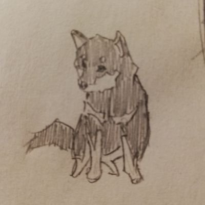けいPさんのプロフィール画像