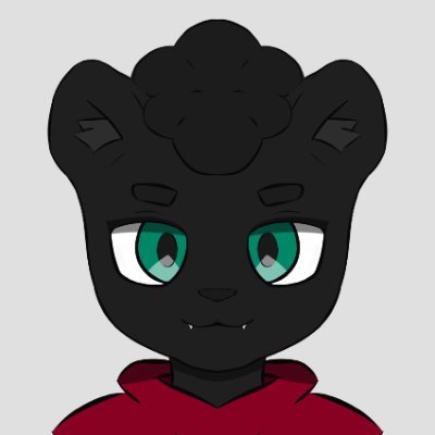 skaephさんのプロフィール画像