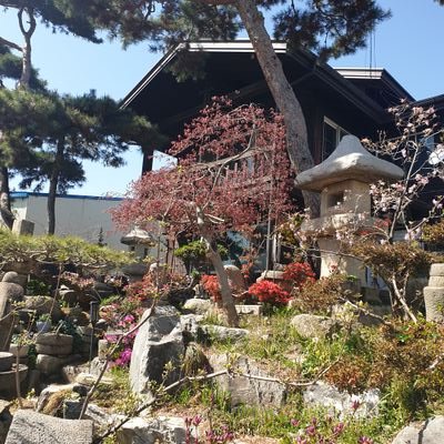 KyongJinJang1's profile picture. 