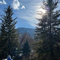 Mile High (@willyjoe81) 's Twitter Profile