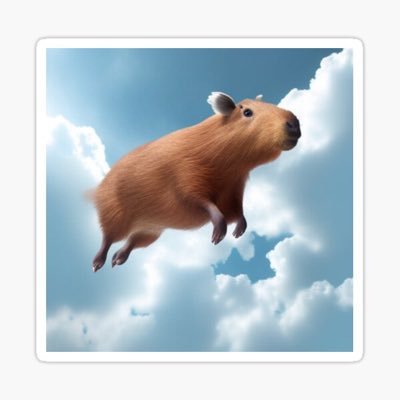 flyingcapy's profile picture. 