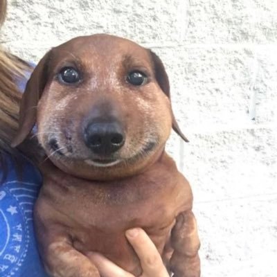 breadcrumbsoup's profile picture. personalventaccount !