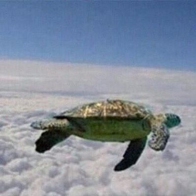 ZAXIS66539997's profile picture. I suck at Twitter, but AstroZero rocks at giving power back to the artist #ELONONE