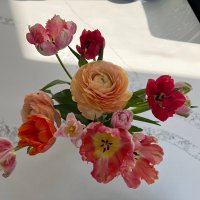 Alenia Kysela (@aleniamd) 's Twitter Profile