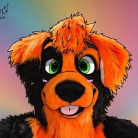 Benji The Beagle 🇺🇦(@FoxNobia) 's Twitter Profile Photo
