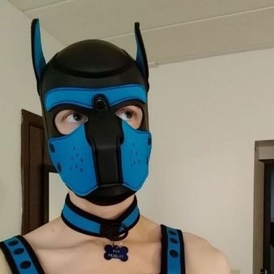 (NSFW 18+) 26/M sub puppy in Pittsburgh, PA. Twitter/Telegram/Reddit/Recon @PupPresley