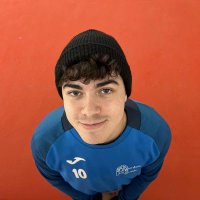 Alex Ingelmo (@_alexingelmo) 's Twitter Profile