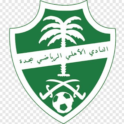 اهلاوي مجنووون 💚عضو رابطة المشجعين بالنادي الاهلي + مصور تغطيات و لقاءات + المسؤول عن حساب الكورة الخضراء عبر التيك توك