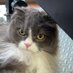 @ltn06wnTHcjhaPe