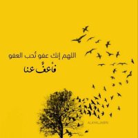 Mohammed Ali Yahya (@mmmsurmi1996) 's Twitter Profile
