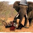 Tyler Whitley - @twhit5 - Twitter