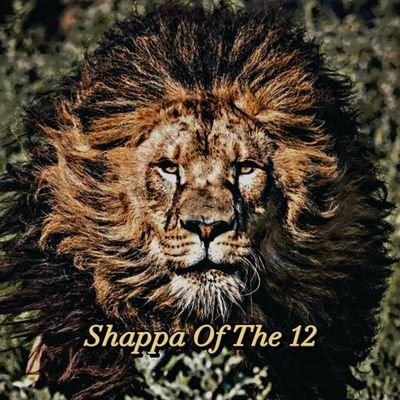 12Shappa Profile Picture