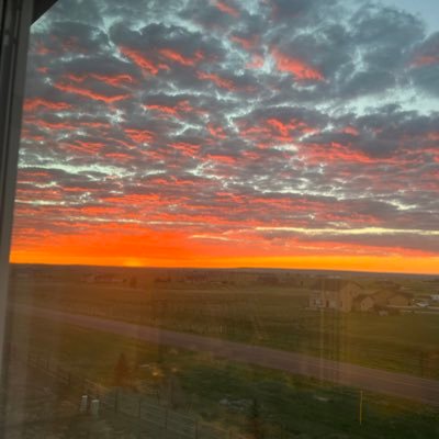 GenMistake's profile picture. 