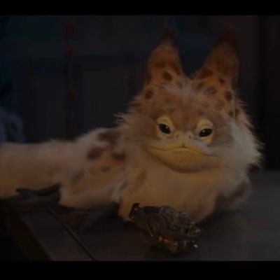 sj_loves_goodTV's profile picture. big brother/survivor enthusiast