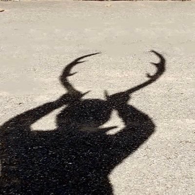 yasuemonhan's profile picture. 