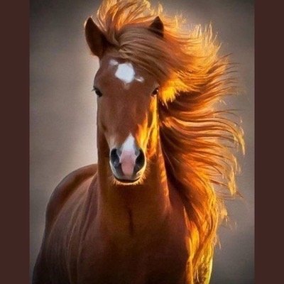 ILoveHorses1962's profile picture. 