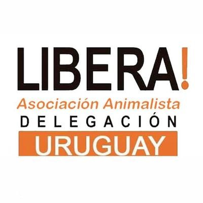Delegación uruguaya de la ONG española Libera.  Presentamos proyectos de ley y programas en busca de derechos para los animales.