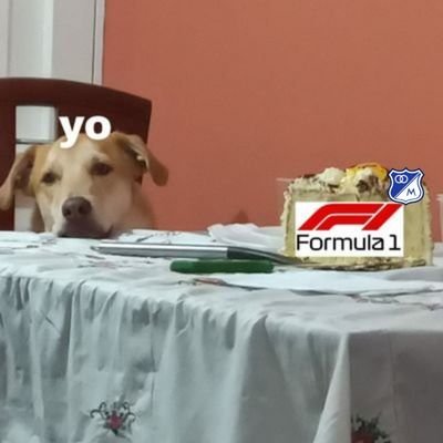 Me hice una cuenta de F1 y fútbol:) 🇨🇴
Alonsismo depresivo