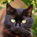 Pam Carson - @PamCarson193194 - Twitter