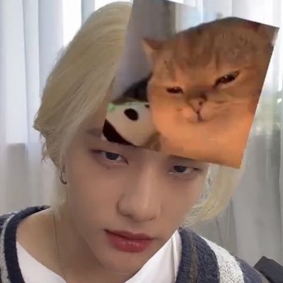 hyunjin as cats Profile